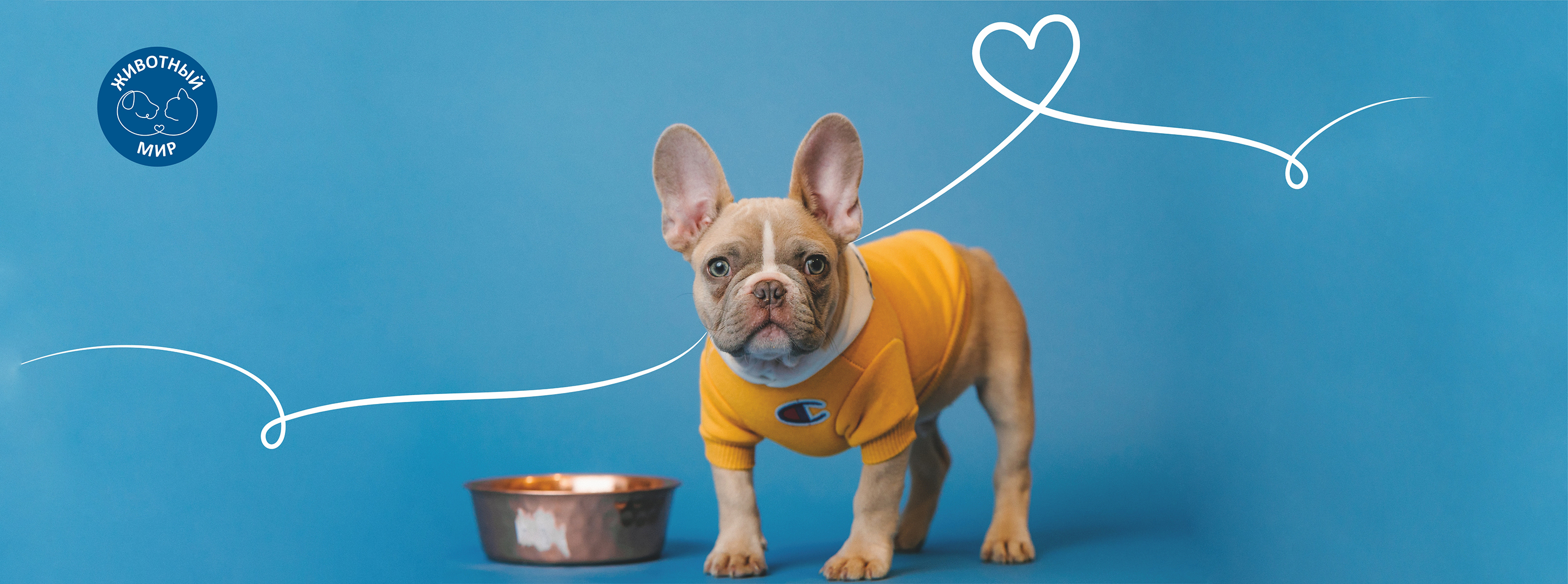 Новый зоомагазин «Животный мир» открылся в ТЦ «О'КЕЙ»